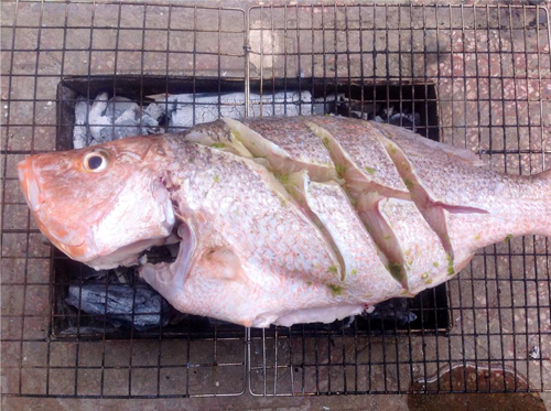 ca-nuong-binh-ba